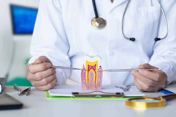 Best Walk-In Emergency Dentist in Pinetops, NC